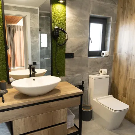 альціона Skhidnytsia